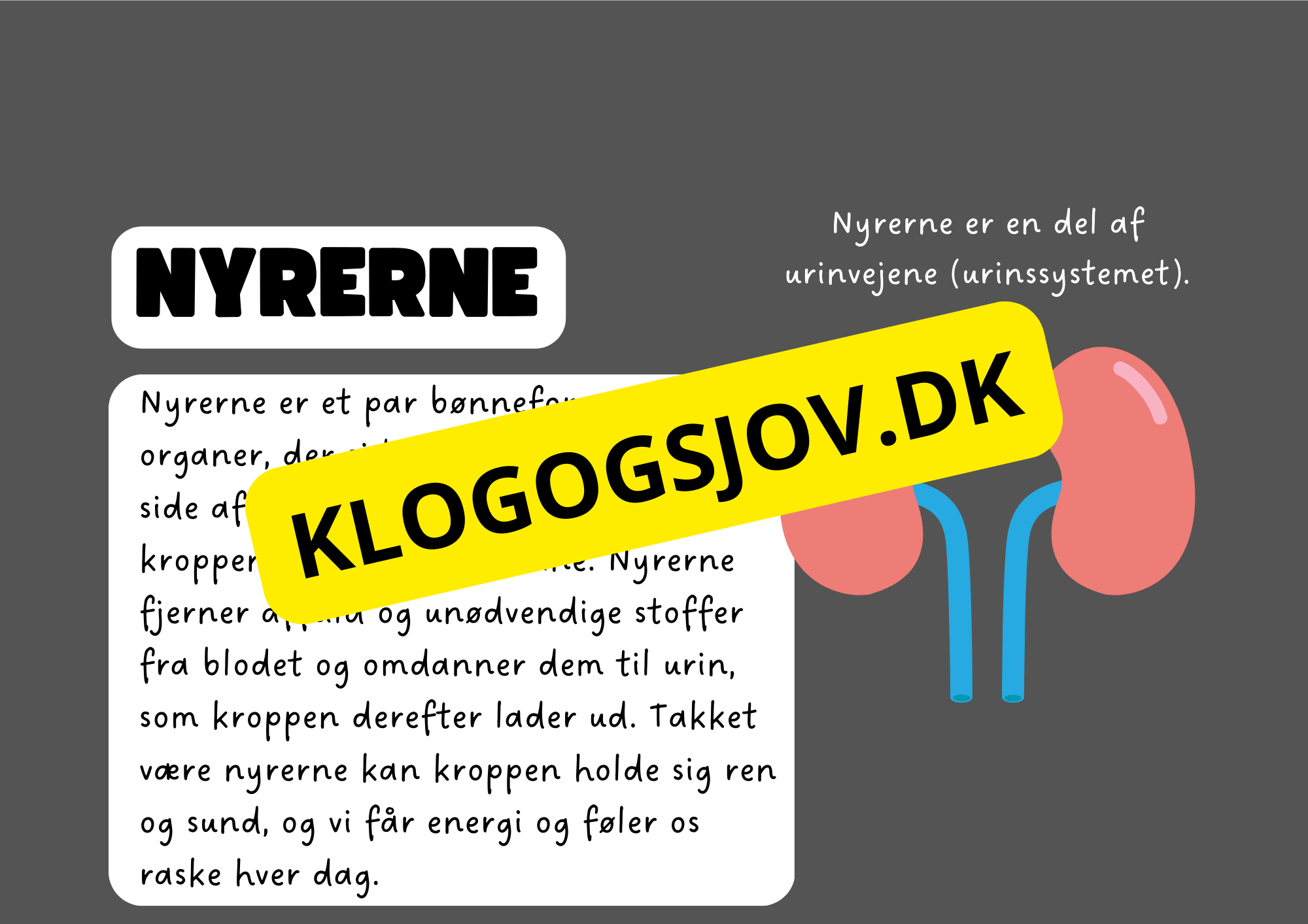 Vores fantastiske krop – Fakta og spørgsmål