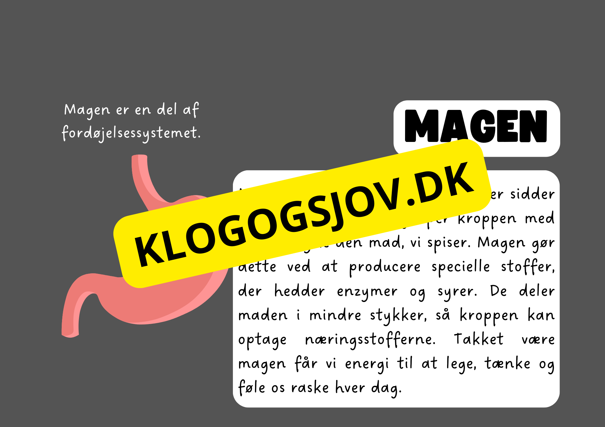 Vores fantastiske krop – Fakta og spørgsmål