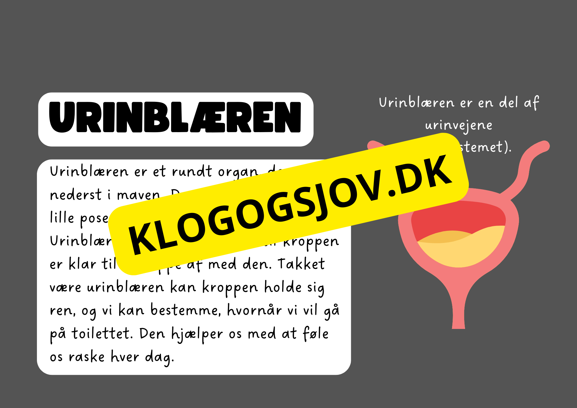 Vores fantastiske krop – Fakta og spørgsmål