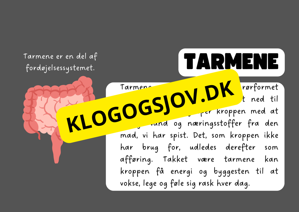Vores fantastiske krop – Fakta og spørgsmål