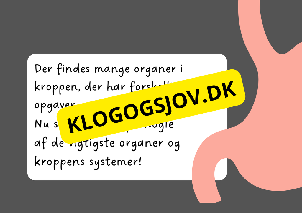 Vores fantastiske krop – Fakta og spørgsmål