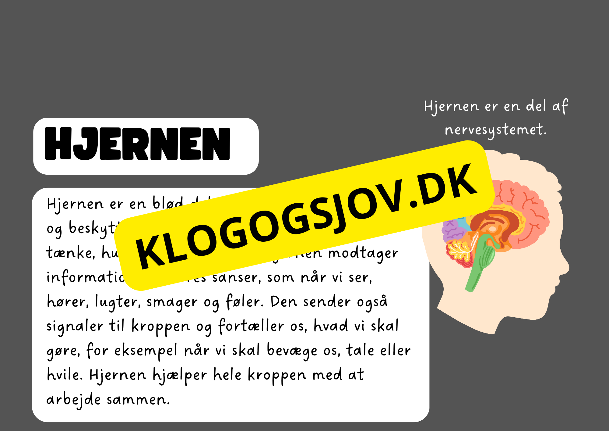 Vores fantastiske krop – Fakta og spørgsmål