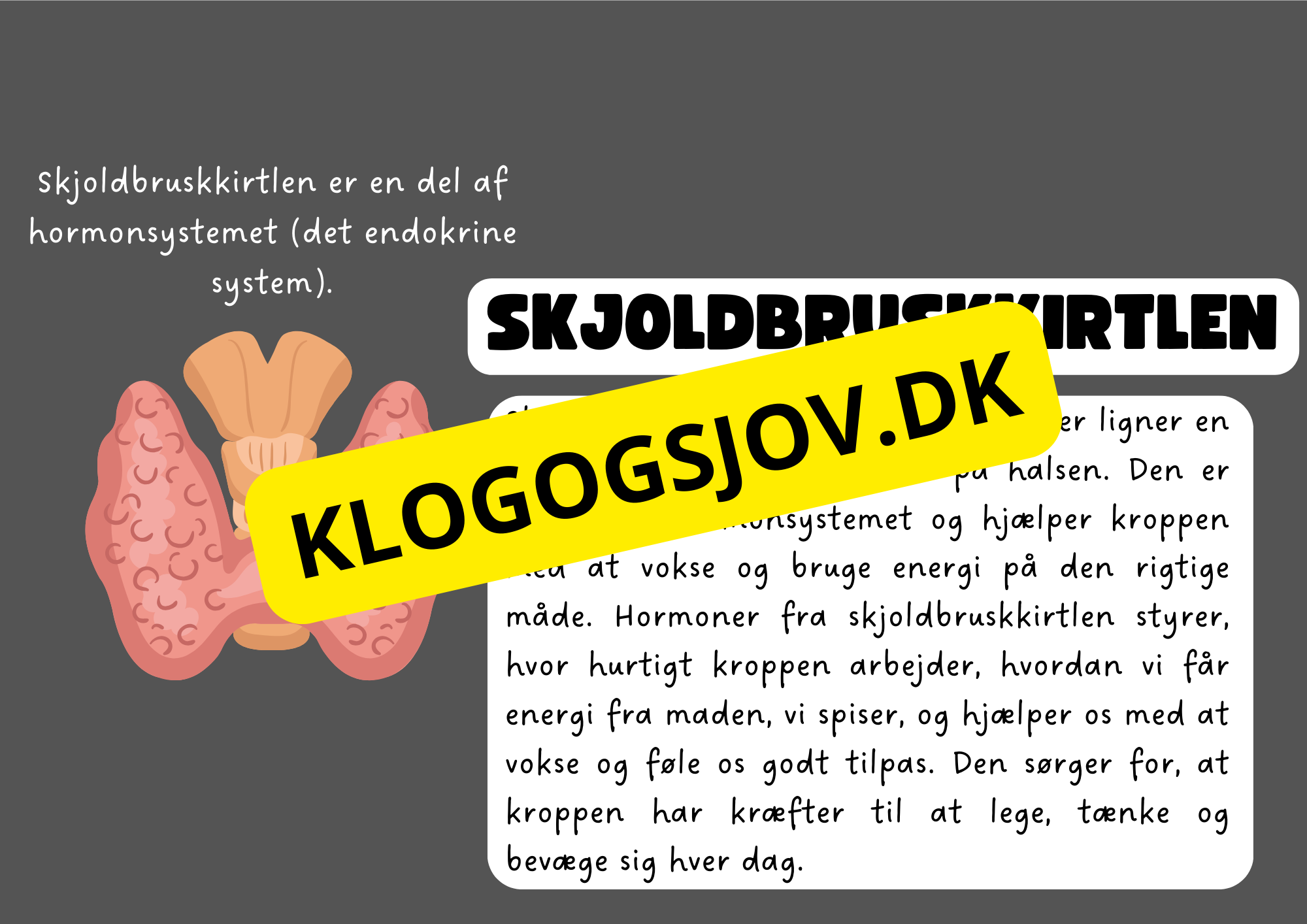 Vores fantastiske krop – Fakta og spørgsmål