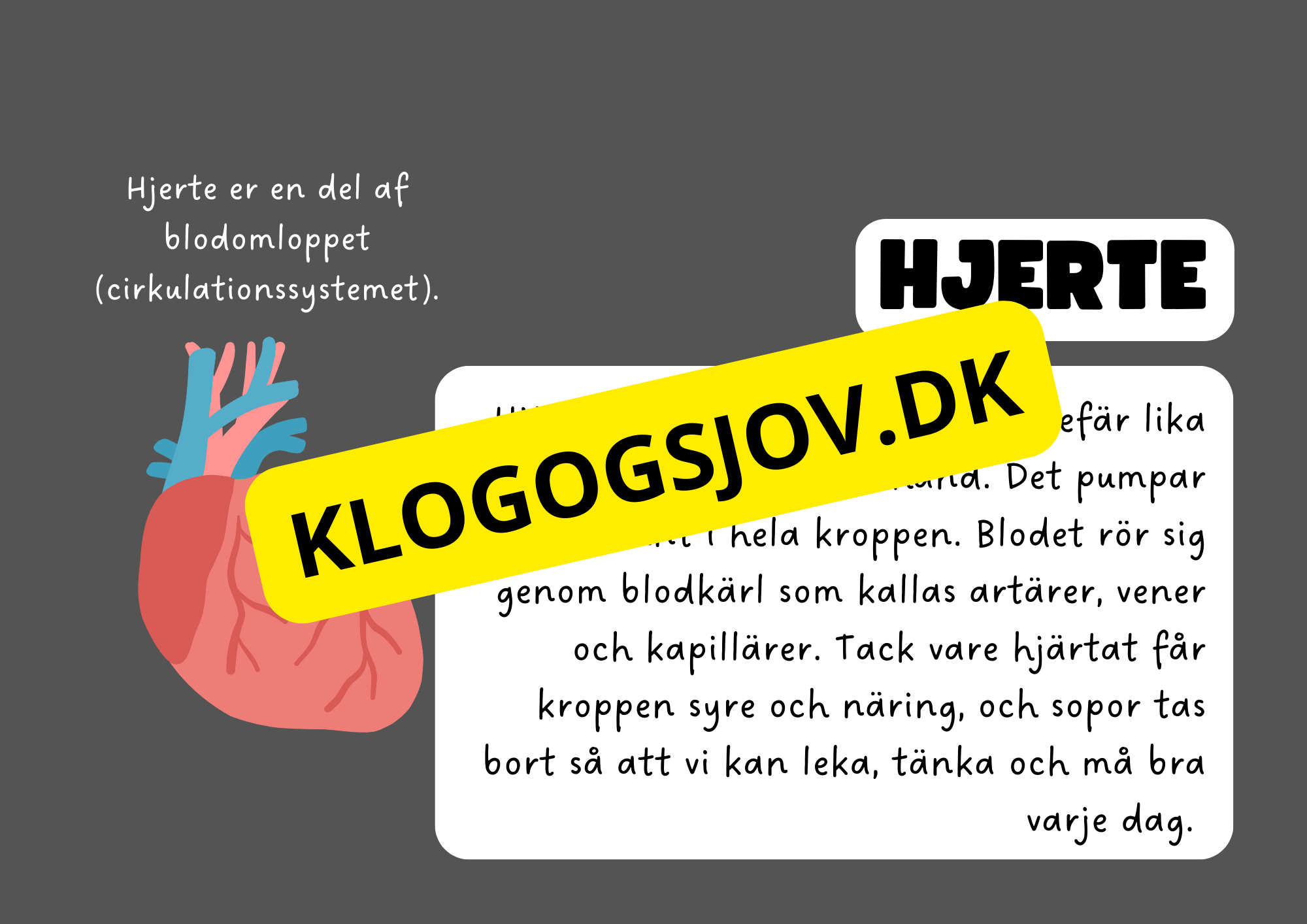 Vores fantastiske krop – Fakta og spørgsmål