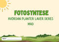 Fotosyntese - Hvordan planter laver deres mad