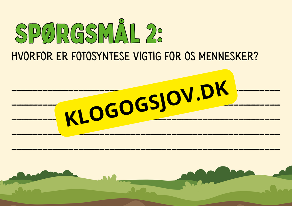 Fotosyntese - Hvordan planter laver deres mad
