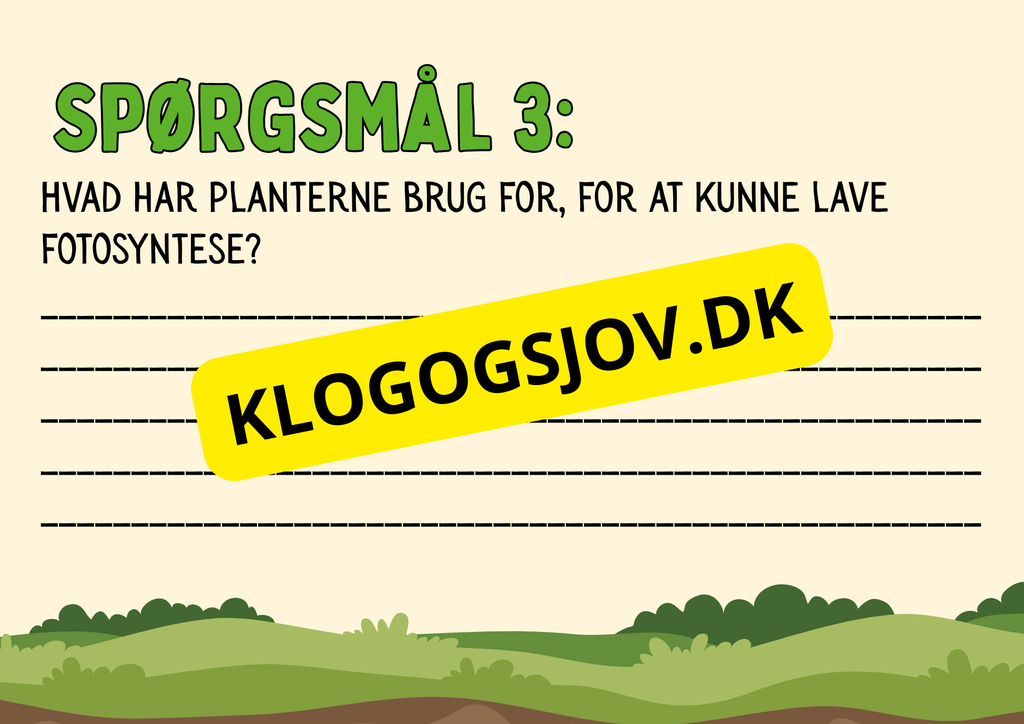 Fotosyntese - Hvordan planter laver deres mad