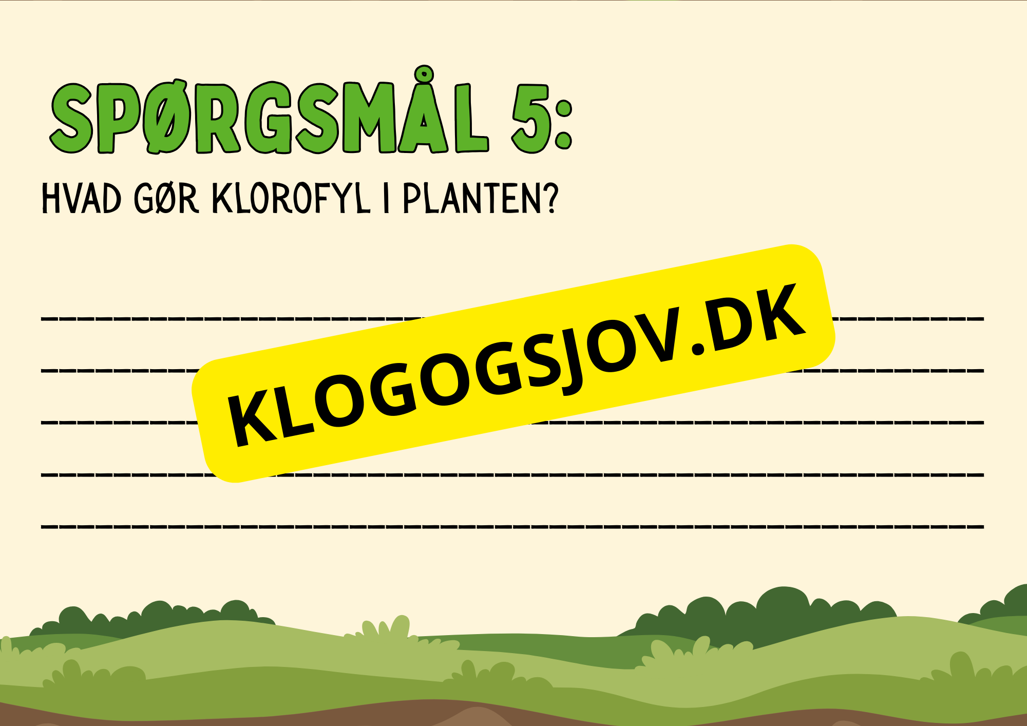 Fotosyntese - Hvordan planter laver deres mad