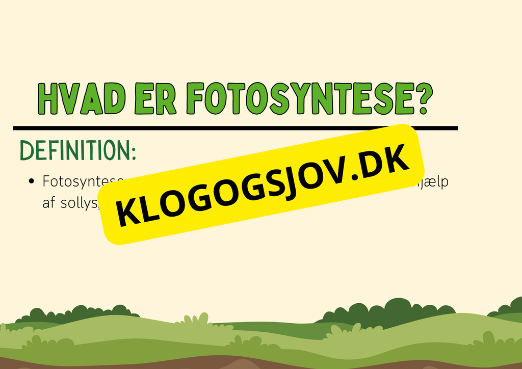 Fotosyntese - Hvordan planter laver deres mad