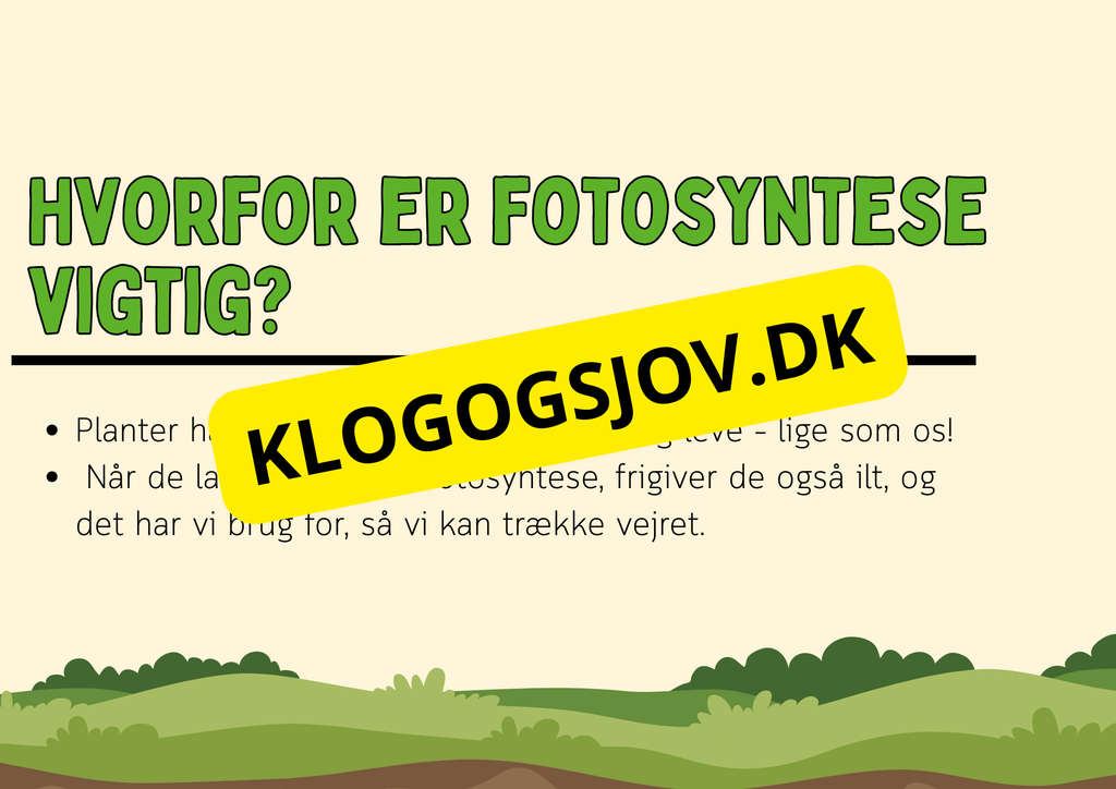 Fotosyntese - Hvordan planter laver deres mad