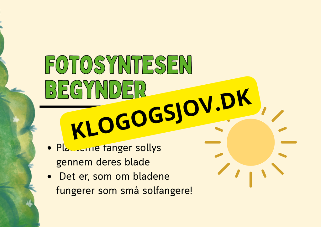 Fotosyntese - Hvordan planter laver deres mad