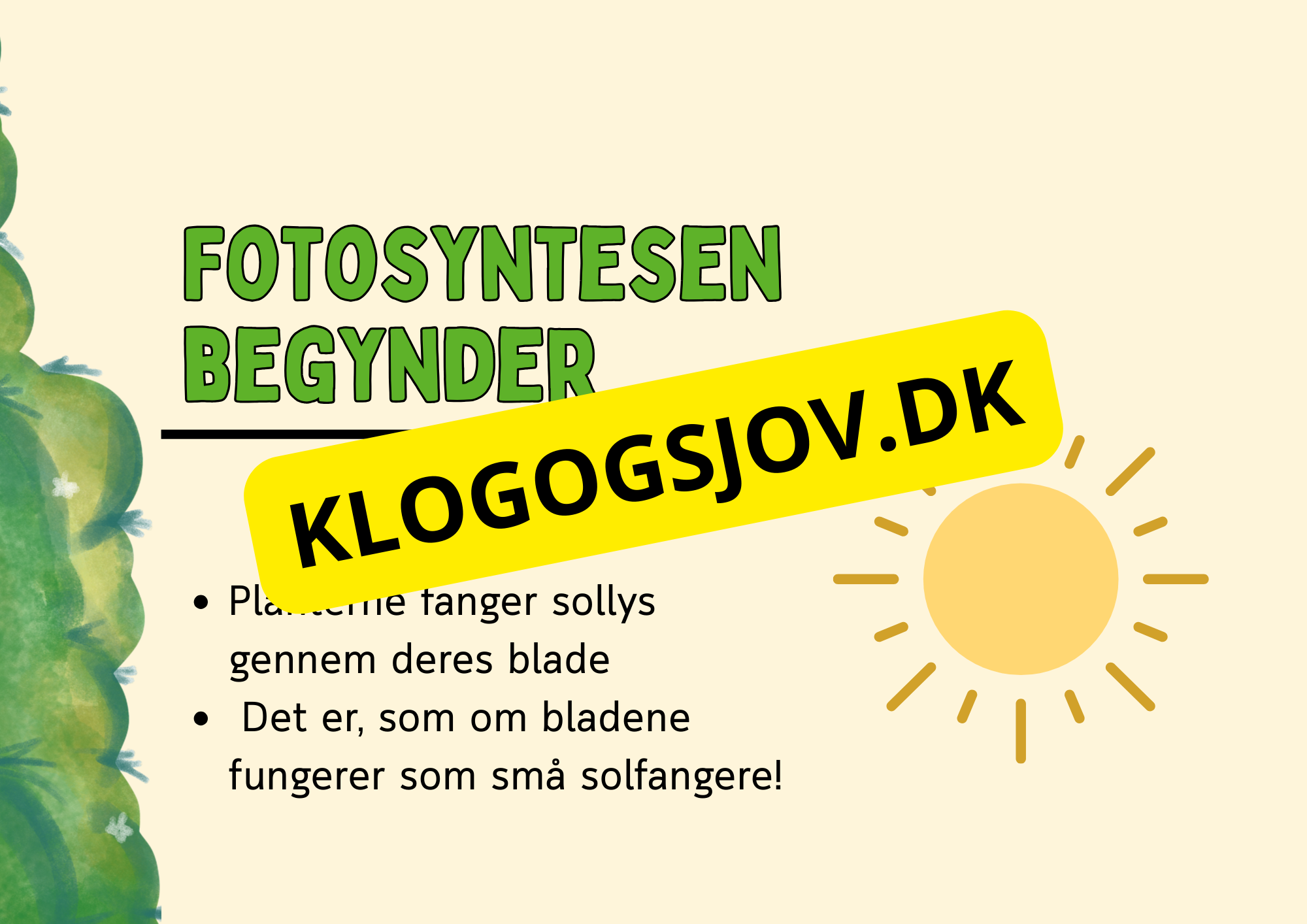 Fotosyntese - Hvordan planter laver deres mad