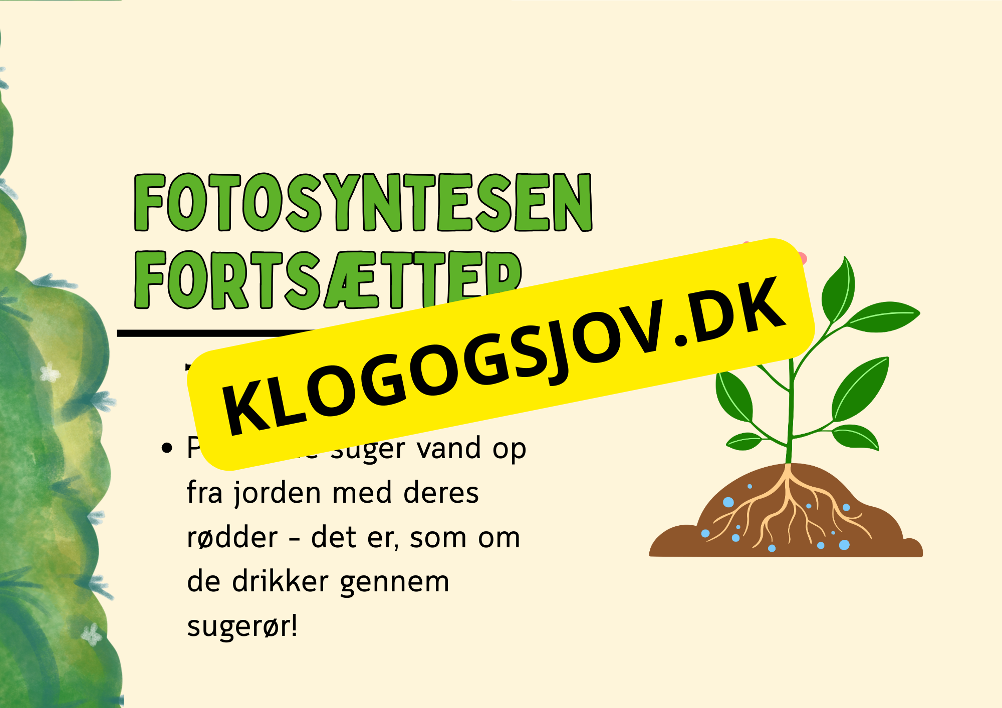Fotosyntese - Hvordan planter laver deres mad