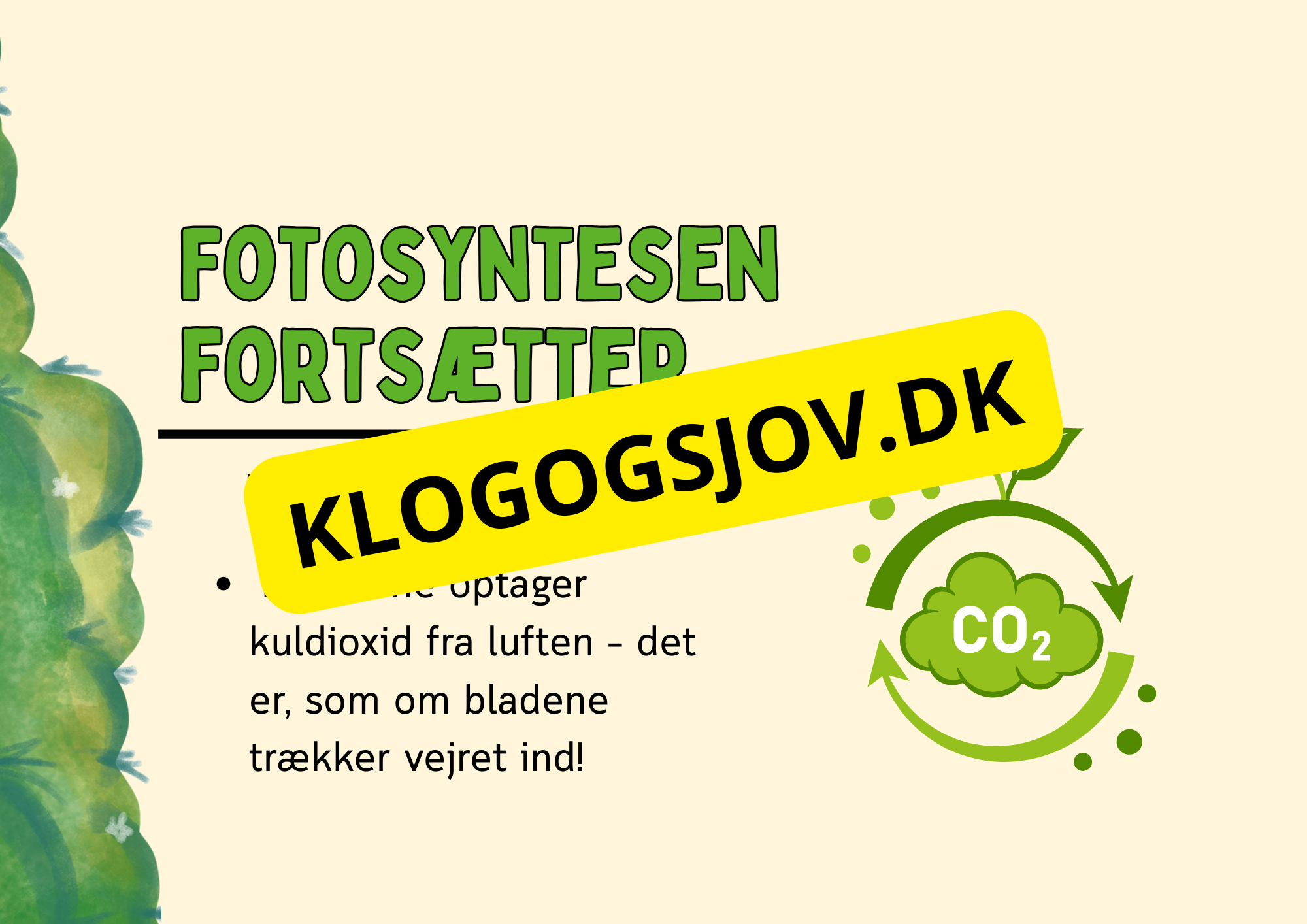 Fotosyntese - Hvordan planter laver deres mad