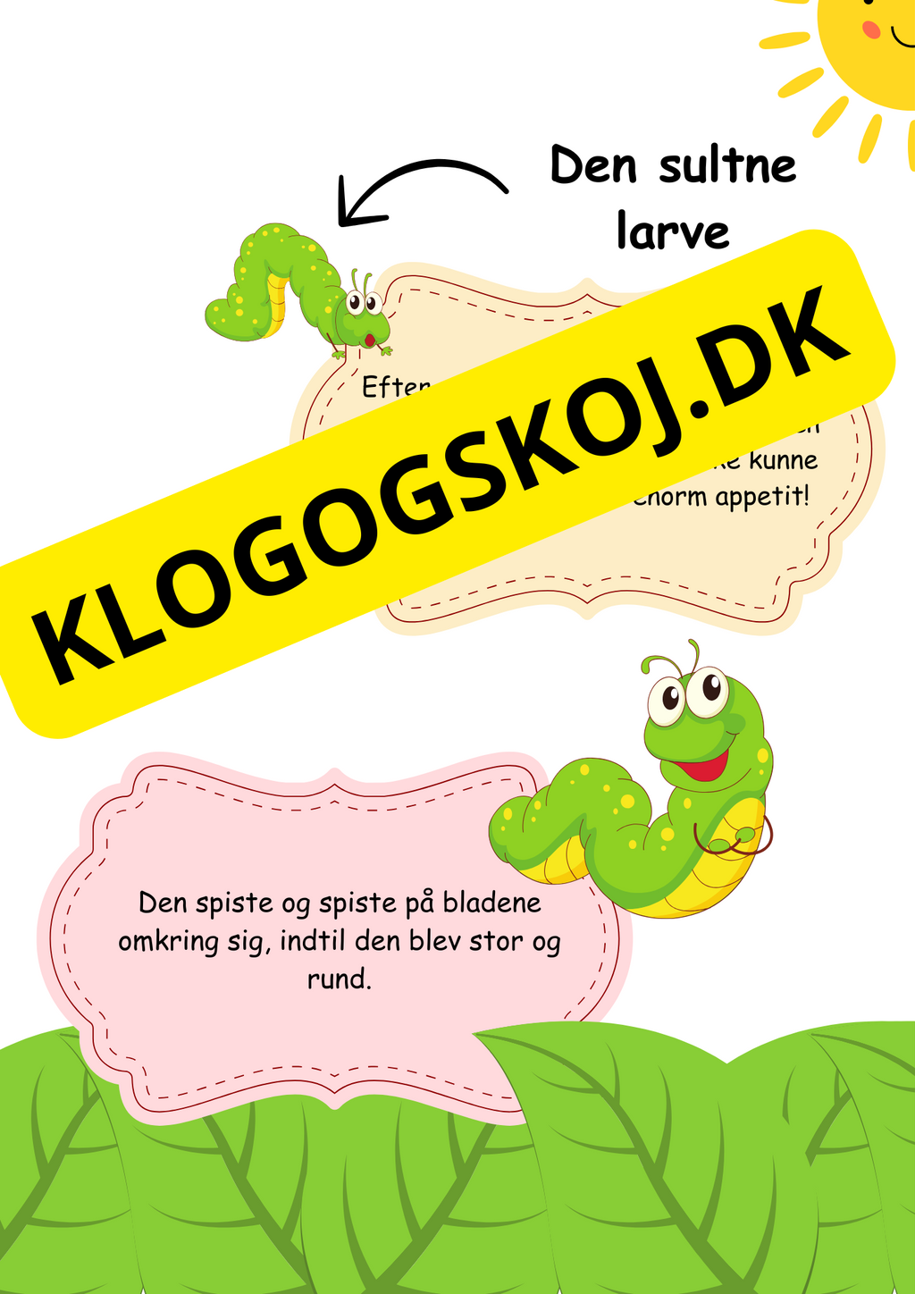 Sommerfuglens livscyklus en magisk fortælling