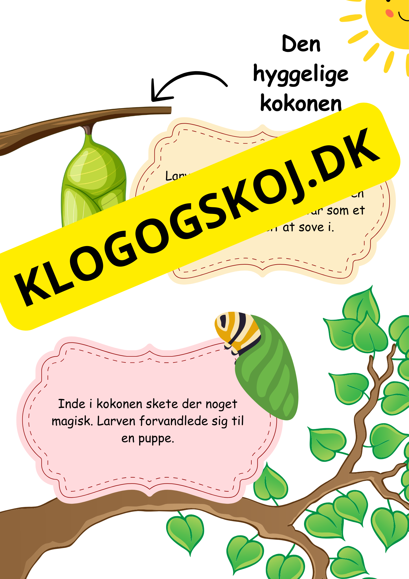 Sommerfuglens livscyklus en magisk fortælling