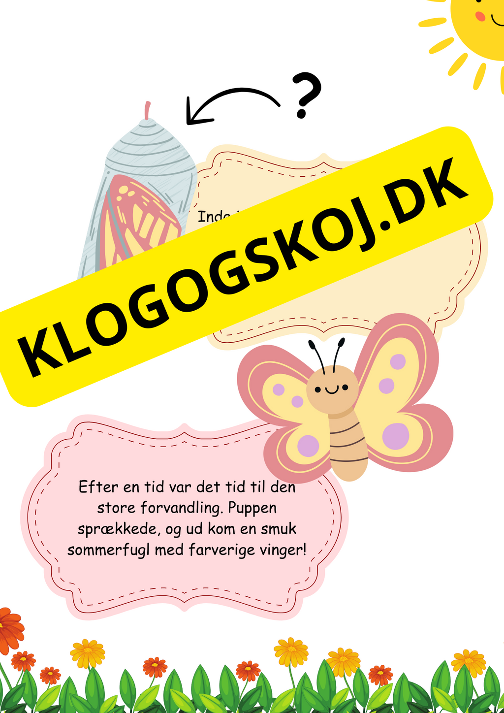 Sommerfuglens livscyklus en magisk fortælling