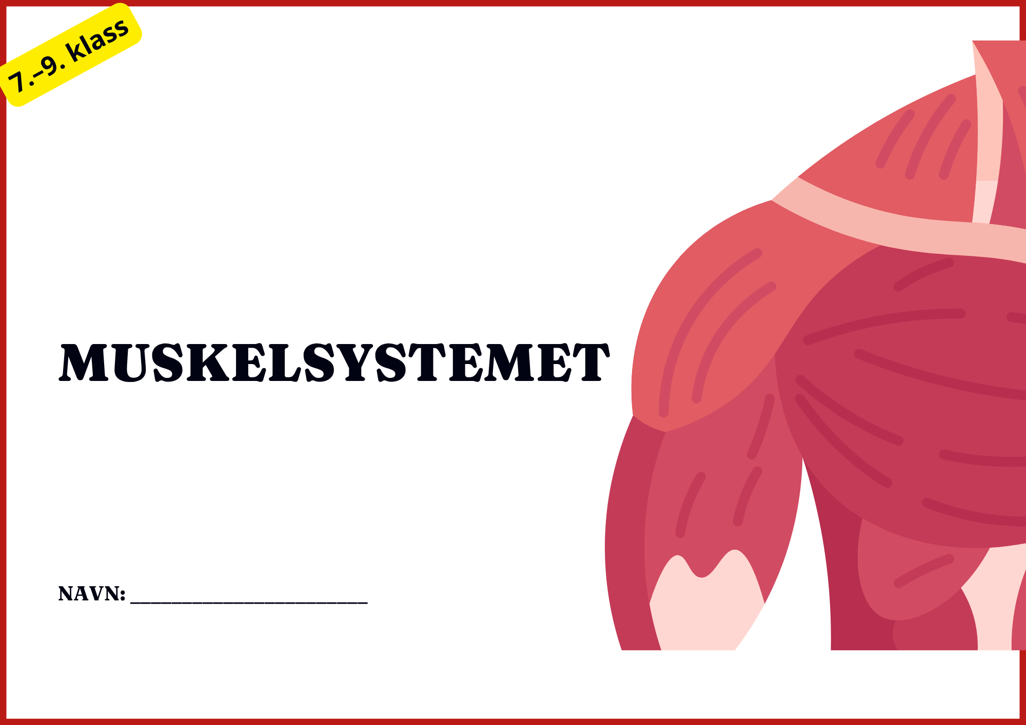 Muskelsystemet - 7.–9. klass