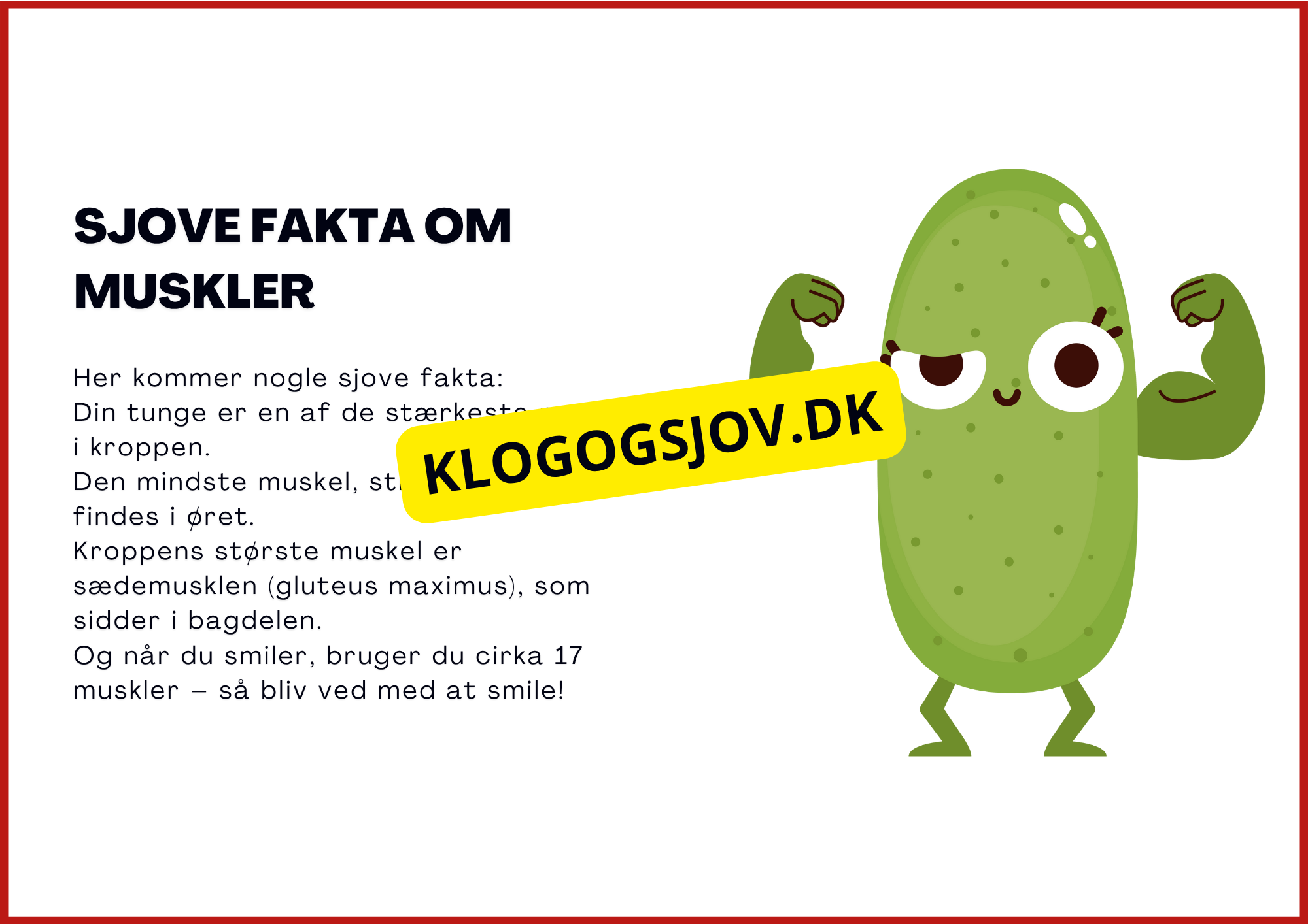 Muskelsystemet - 7.–9. klass