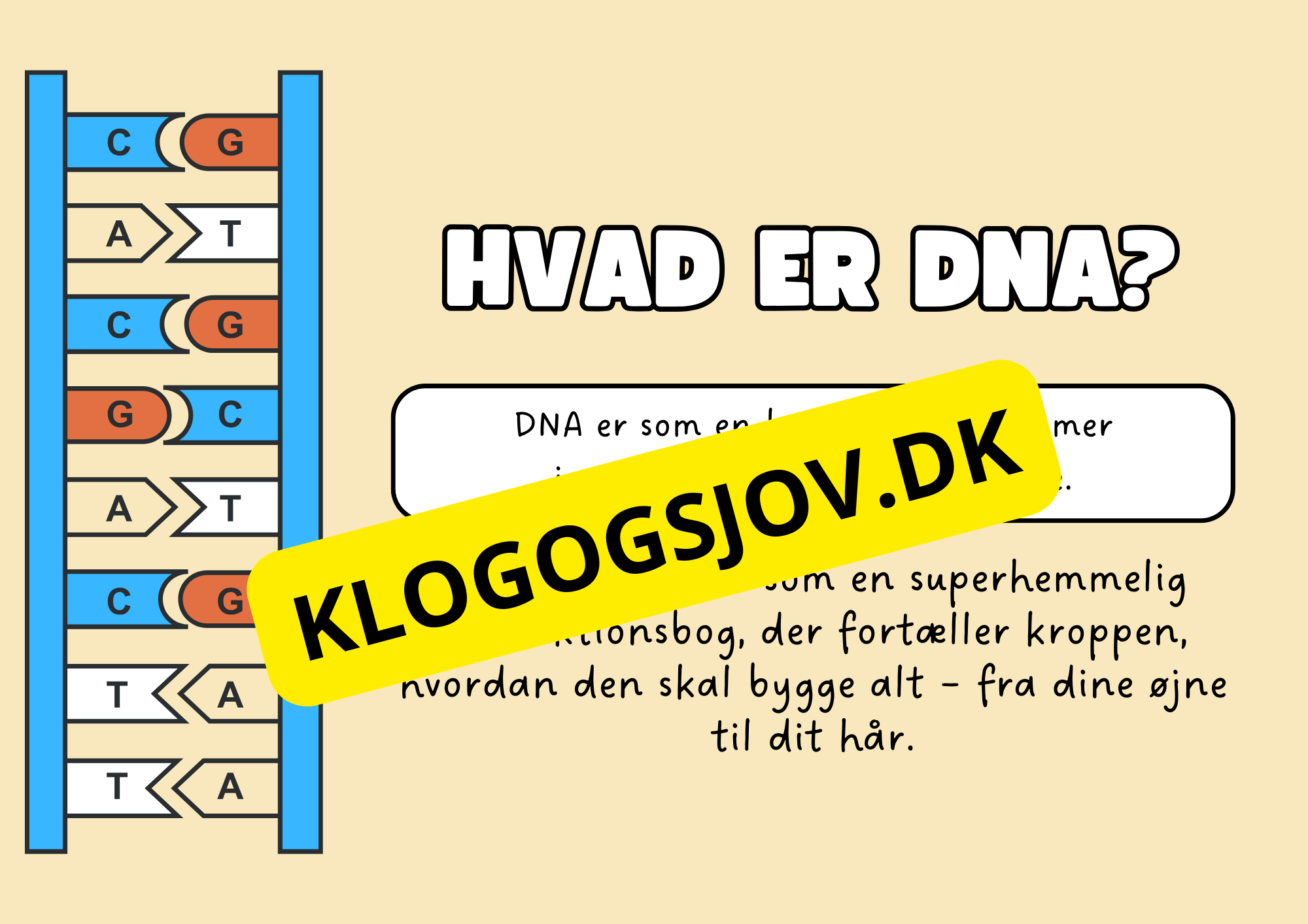 Genetik –En introduktion til DNA