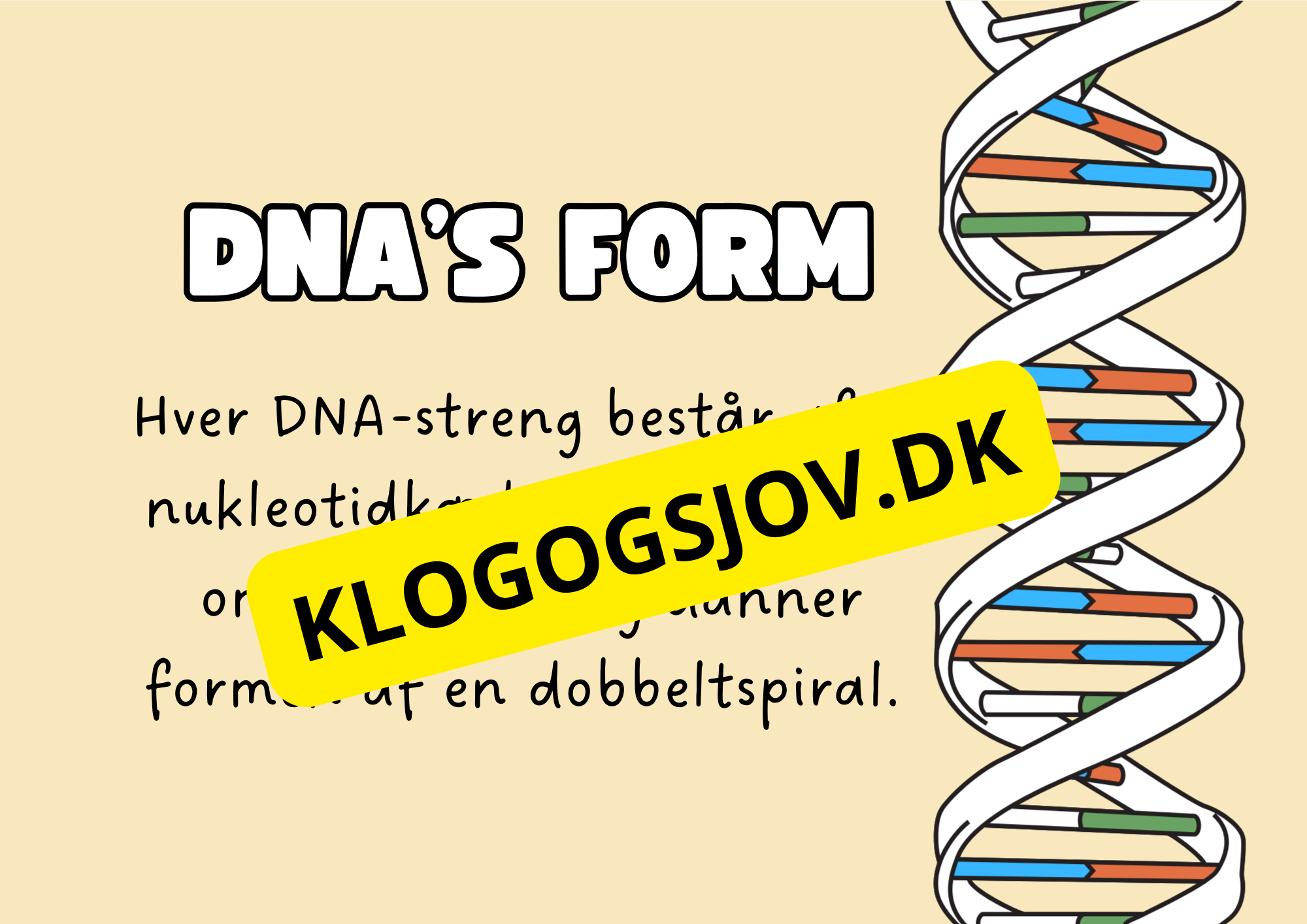 Genetik –En introduktion til DNA