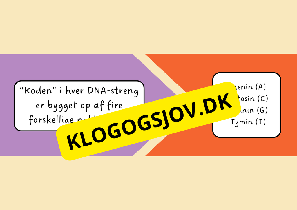 Genetik –En introduktion til DNA