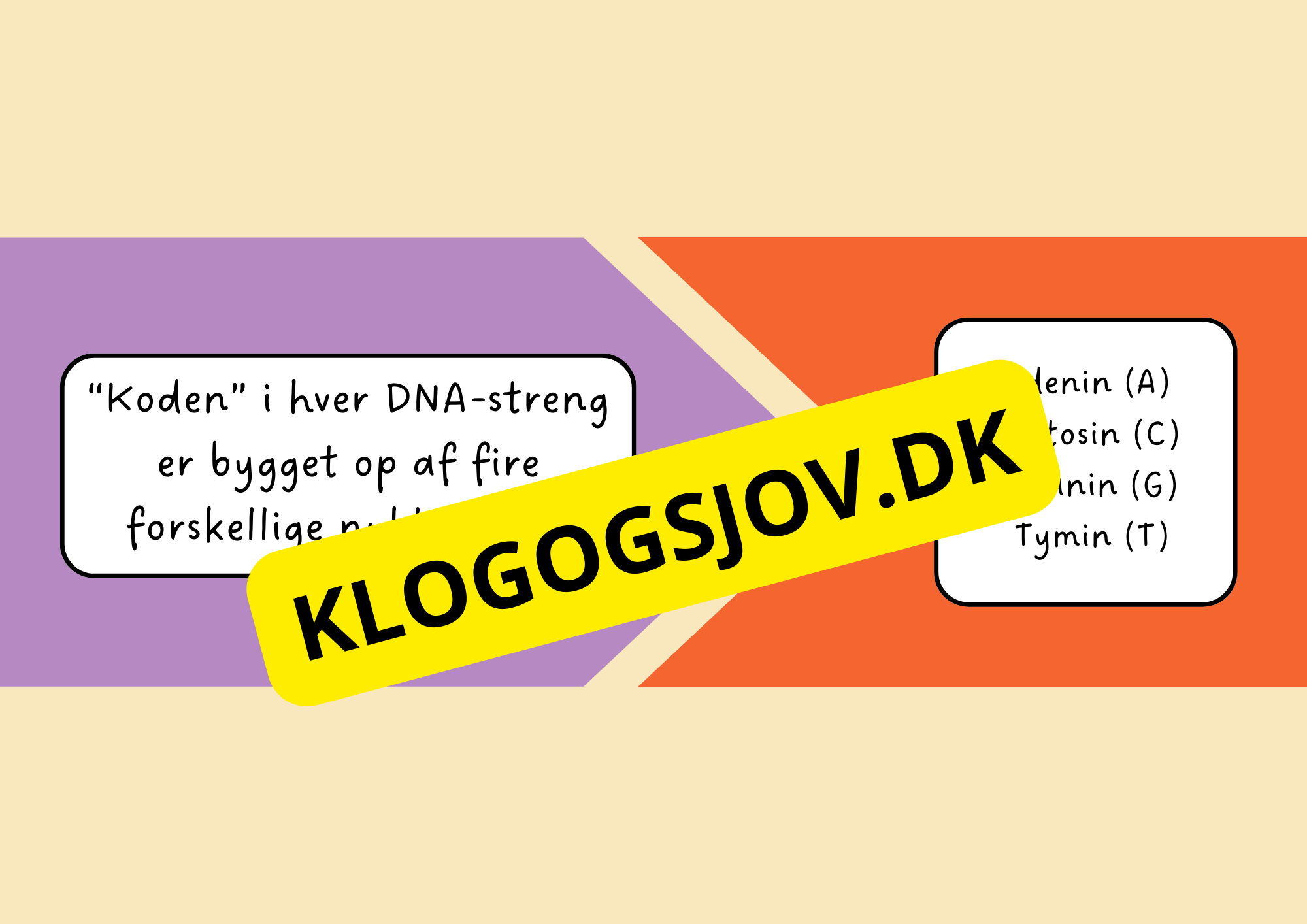 Genetik –En introduktion til DNA