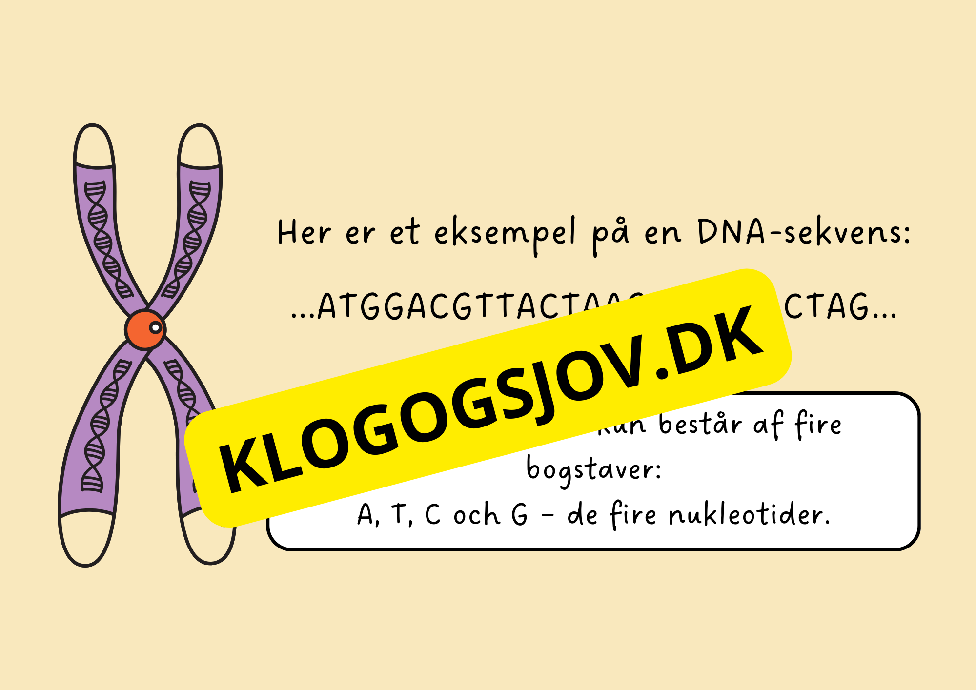 Genetik –En introduktion til DNA