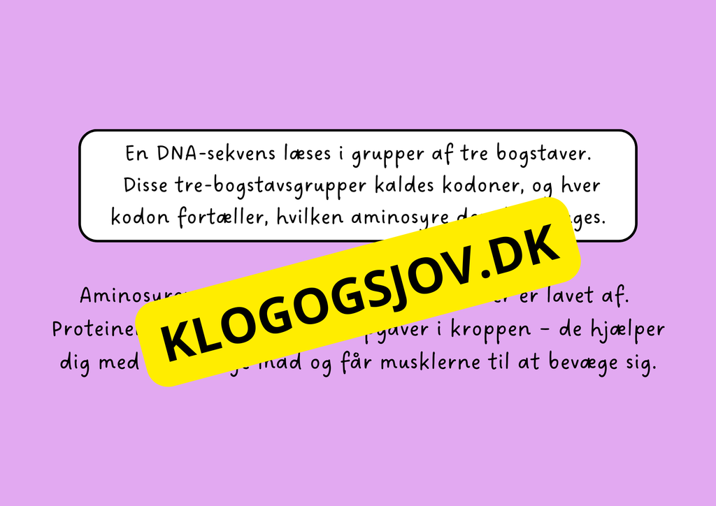 Genetik –En introduktion til DNA