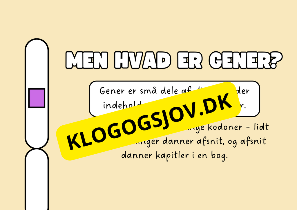 Genetik –En introduktion til DNA